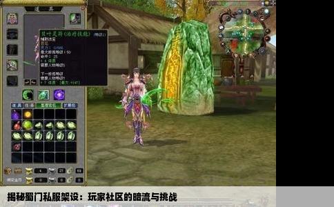 揭秘蜀门私服架设：玩家社区的暗流与挑战