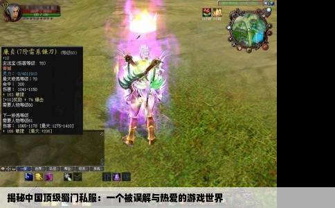 揭秘中国顶级蜀门私服：一个被误解与热爱的游戏世界