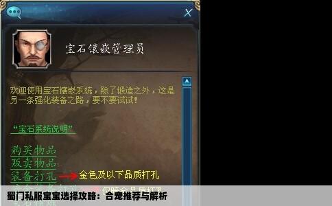 蜀门私服宝宝选择攻略：合宠推荐与解析