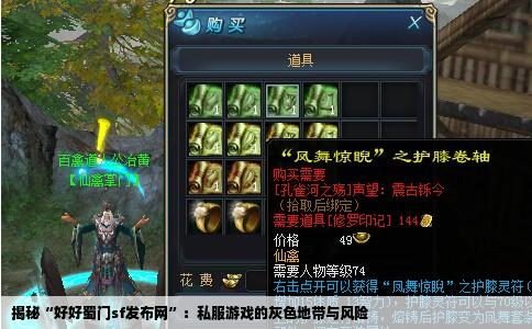 揭秘“好好蜀门sf发布网”：私服游戏的灰色地带与风险