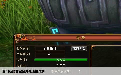 蜀门私服合宝宝外挂使用详解