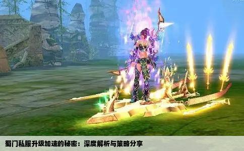 蜀门私服升级加速的秘密：深度解析与策略分享