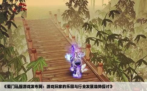 《蜀门私服游戏发布网：游戏玩家的乐园与行业发展趋势探讨》