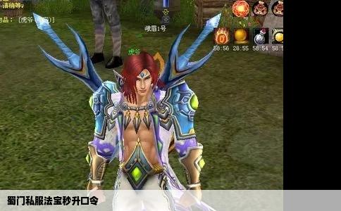 蜀门私服法宝秒升口令