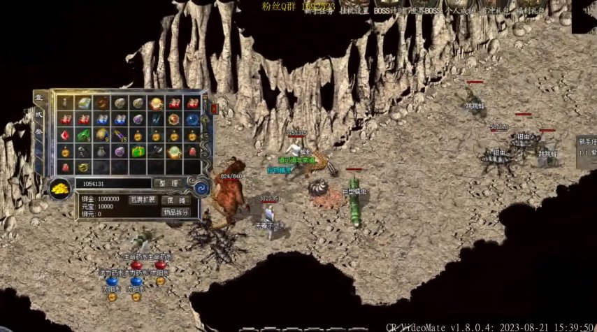  什么游戏有私服——探索热门游戏私服的现状