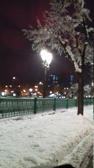 All'ingresso del castello nella stanza dei cassetti - Pagina 7 20240112