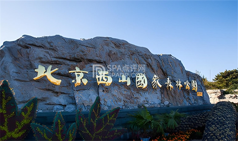 🌳 周末City Walk | 西山国家森林公园全攻略，轻松玩转！ 🌳-2-打卡分享-SPA点评网