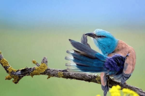 魔域12个星座的任务，魔域12个星座的任务怎么做