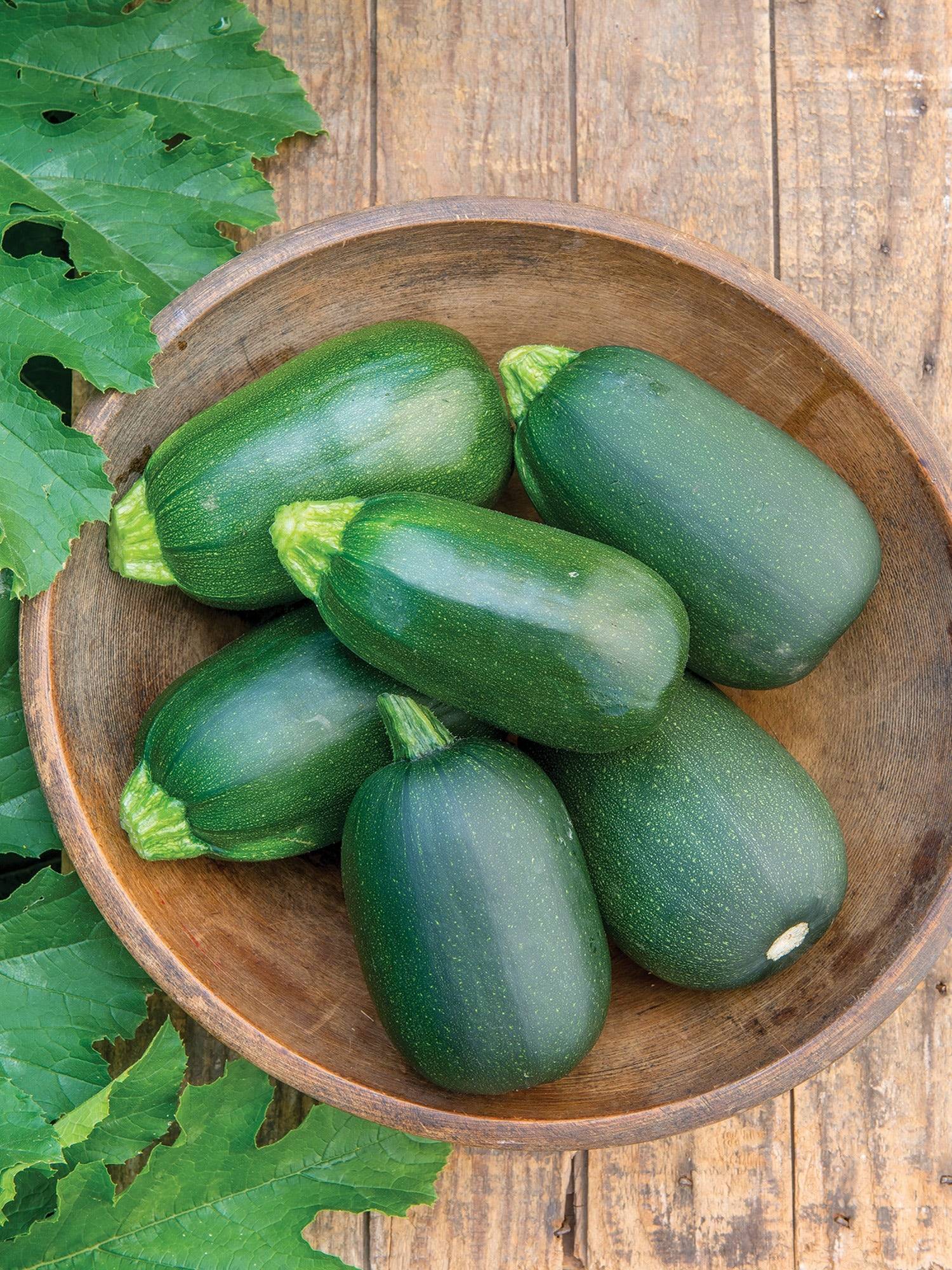 绿色鸡蛋南瓜（Green Egg Squash）
