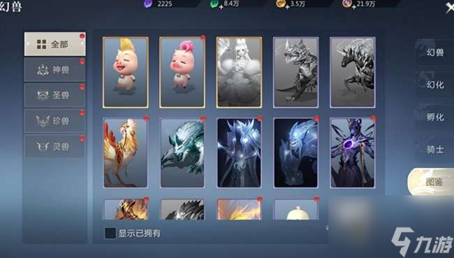 魔域宠物技能练习和升级指南（附:平民幻兽选择攻略详解）