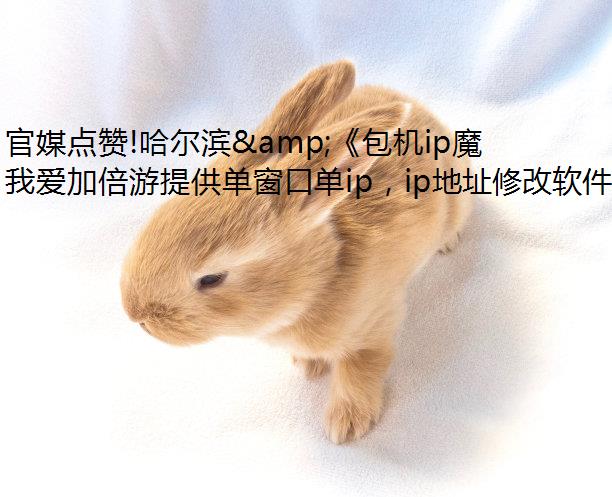 官媒点赞!哈尔滨&《包机ip魔域》如何让冰雪文旅“出圈又出彩”