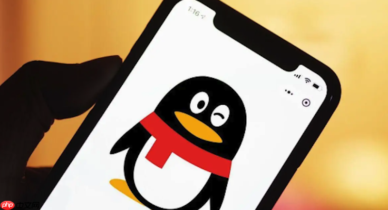 qq邮箱格式怎么写才正确 qq邮箱地址标准书写规范