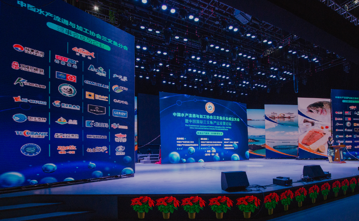 龙洋知鲜三文鱼(虹鳟)