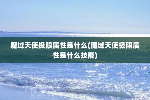 魔域天使极限属性是什么(魔域天使极限属性是什么技能)