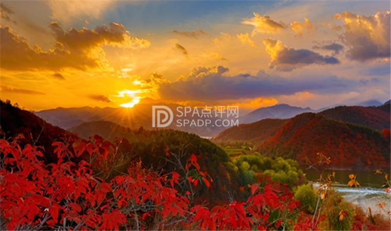 🌳 周末City Walk | 西山国家森林公园全攻略，轻松玩转！ 🌳--打卡分享-SPA点评网