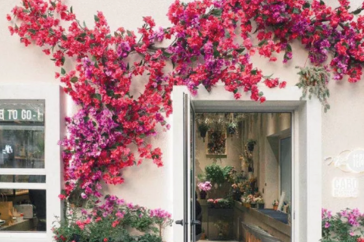 TBJ Chinese: 跟Cabo Coffee 老板Jack聊了聊 An Interview With Jack of Cabo Coffee