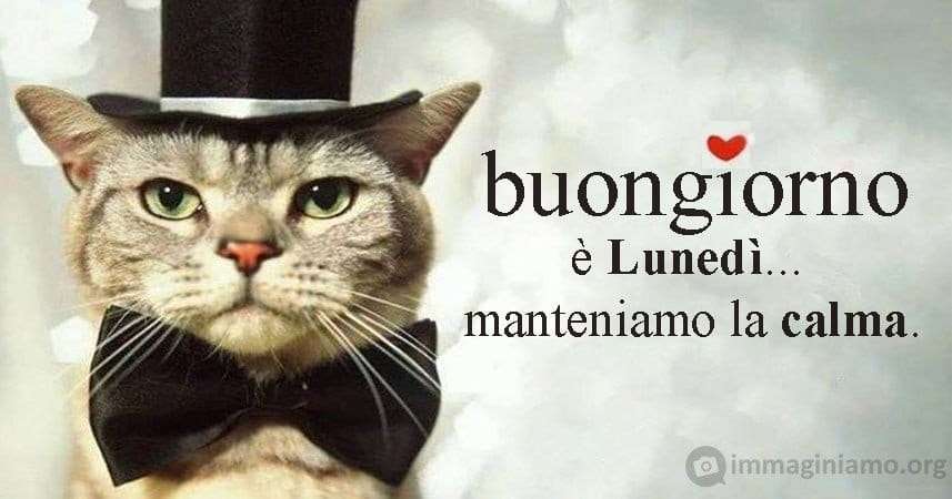 All'ingresso del castello nella stanza dei cassetti' - Pagina 14 Immagini-divertenti-luned%C3%AC