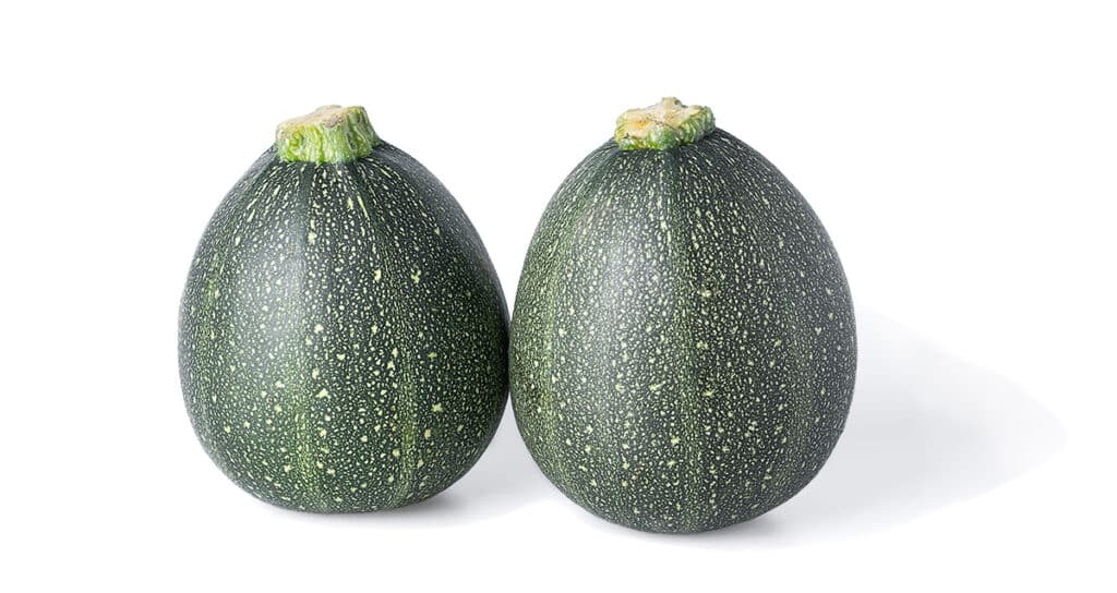 球形西葫芦（Globe Zucchini）