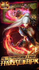 魔域口袋版电脑版游戏截图-4