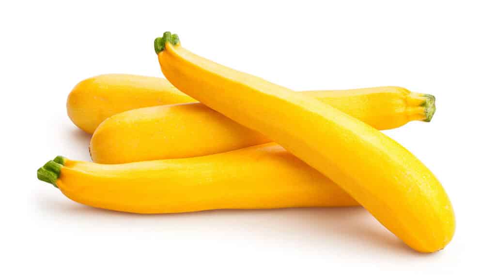 黄南瓜（Yellow Squash）