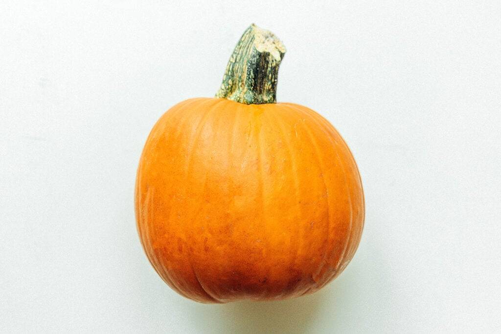 派南瓜（Pie Pumpkins）