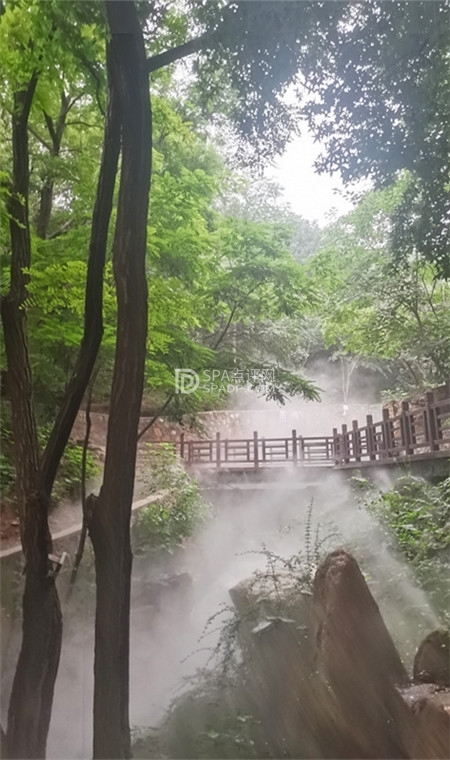 🌳 周末City Walk | 西山国家森林公园全攻略，轻松玩转！ 🌳-3-打卡分享-SPA点评网