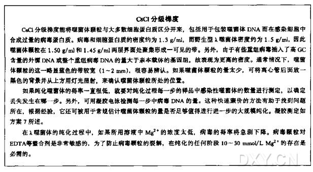 通过CsCl 等密度梯度离心纯化λ噬菌体颗粒实验