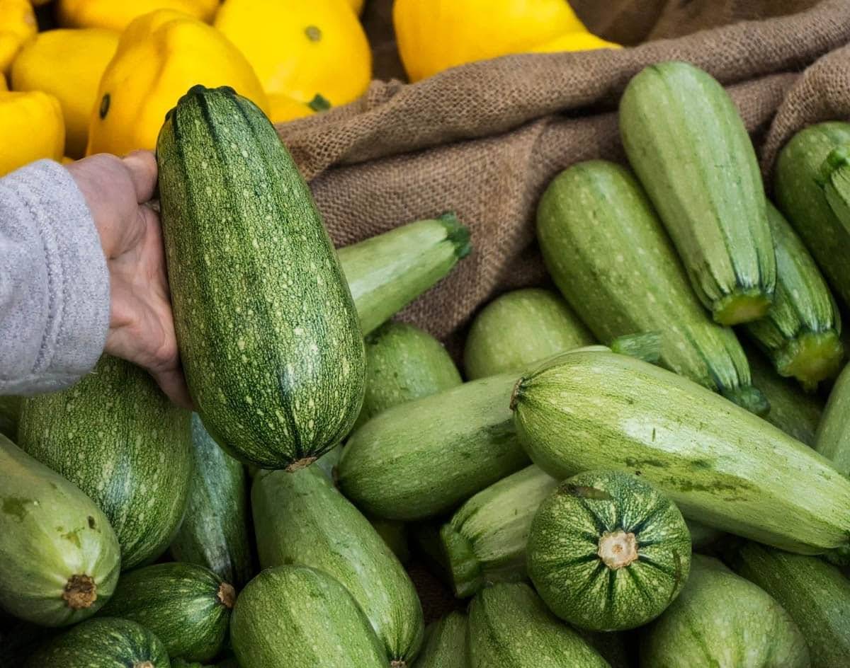 库萨南瓜（Cousa Squash）